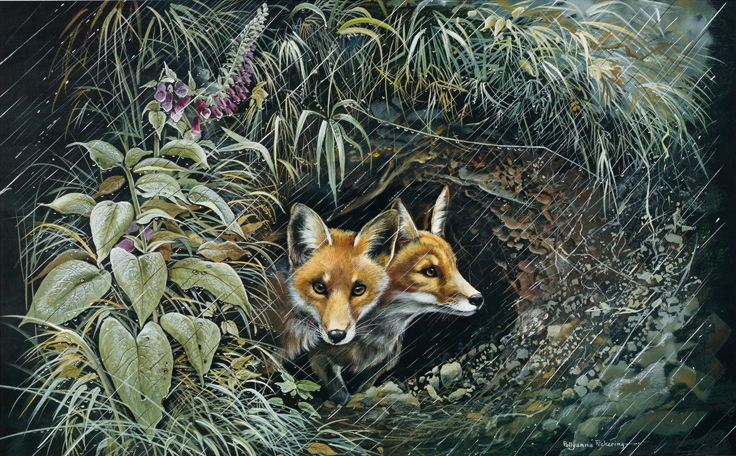 The Shelter - Image 2