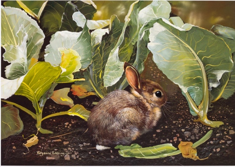 The Cabbage Patch - Image 2