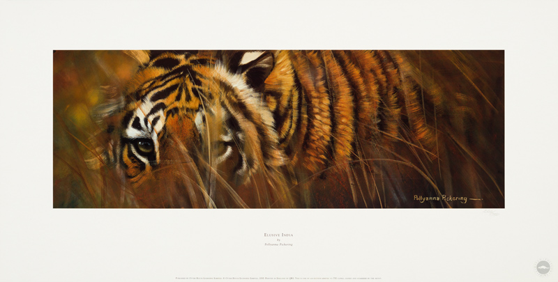 Elusive India - Image 2