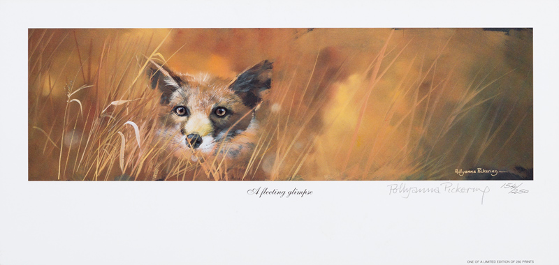 Fleeting Glimpse - Image 2