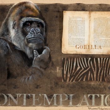 Gorilla