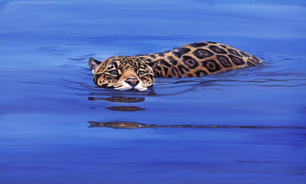 Jaguar River - Pollyanna Pickering