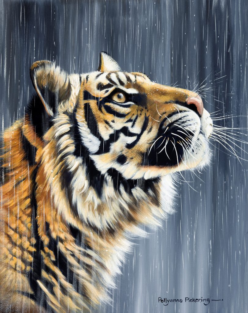 Monsoon - Image 2