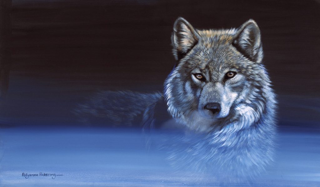 Out of the Blue - Image 2