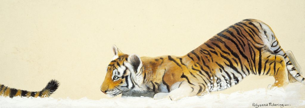 The Tigers Tale - Image 2