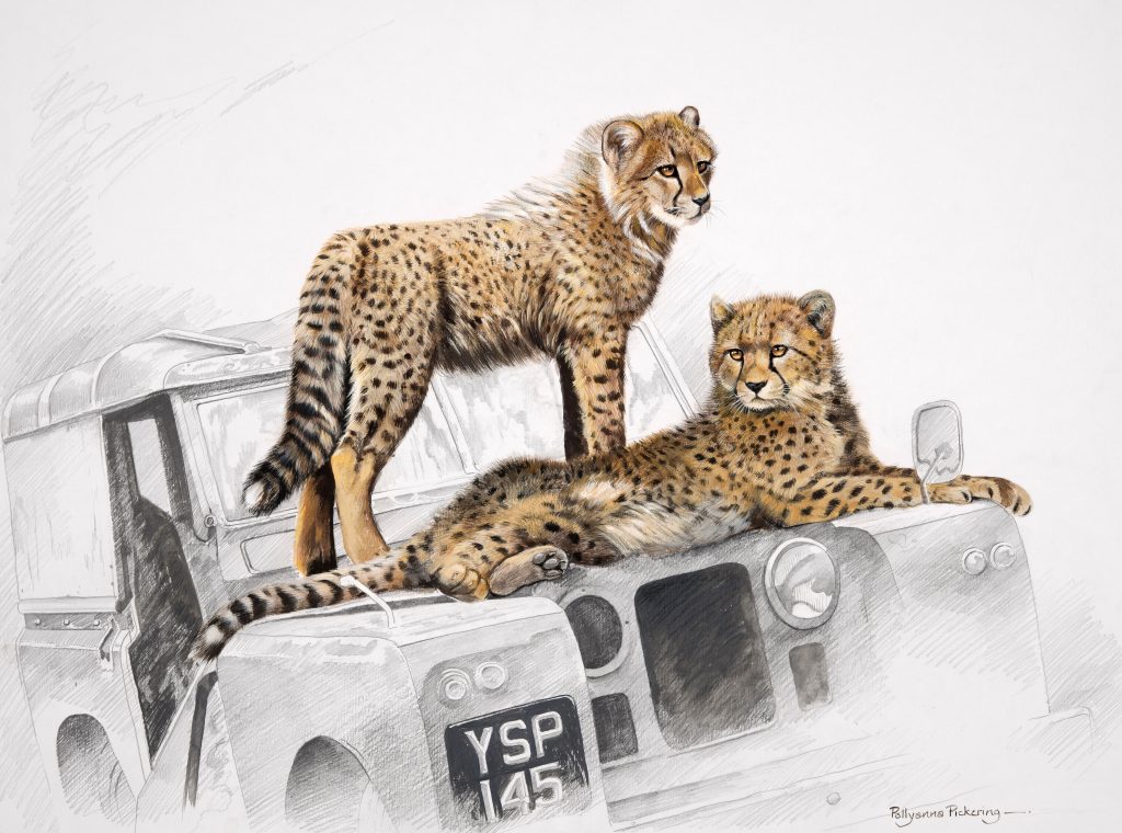 Young Explorers - Image 2