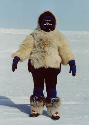 alarctic temp