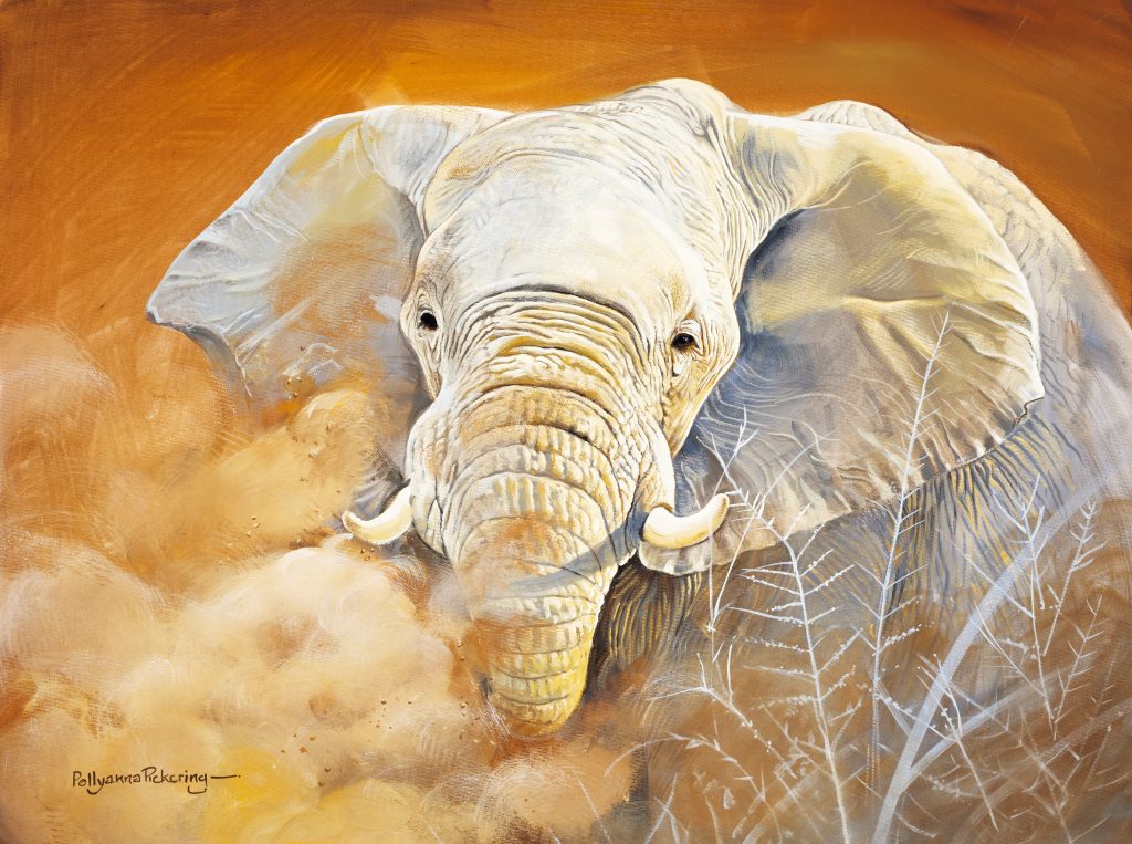Heat & Dust - Image 2