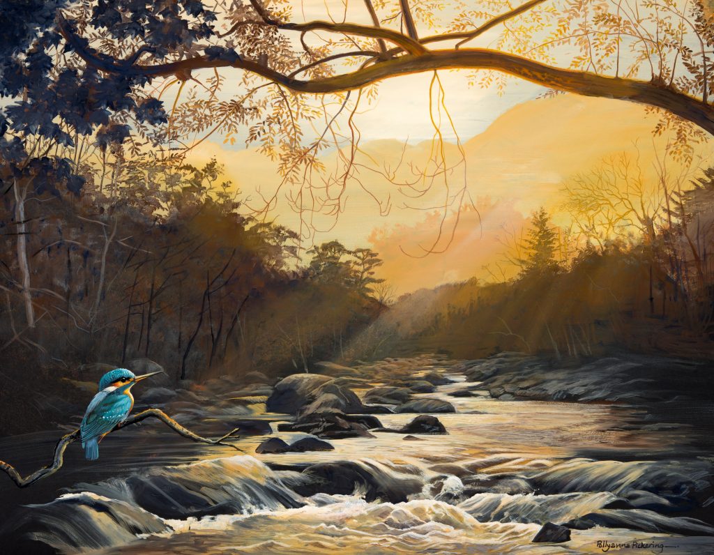 Kingfisher Falls - Image 2