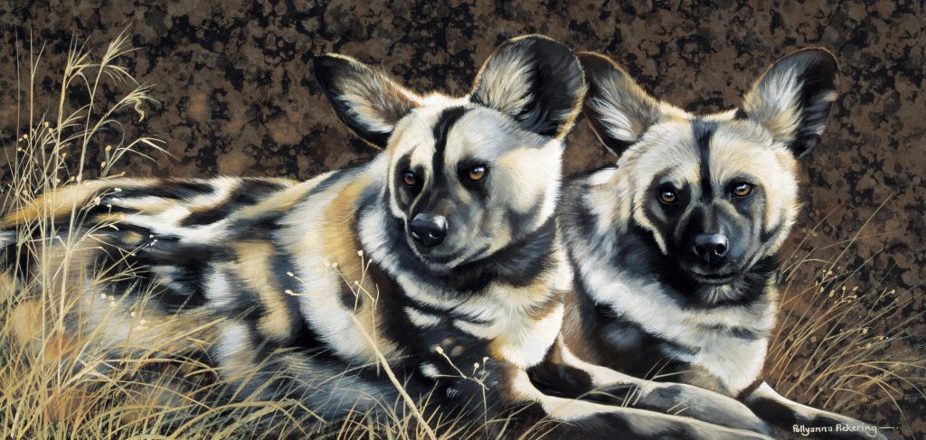 Painted Dogs - Image 2