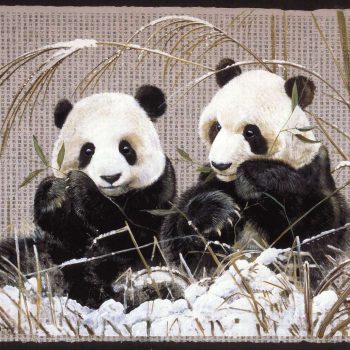 Panda Bear
