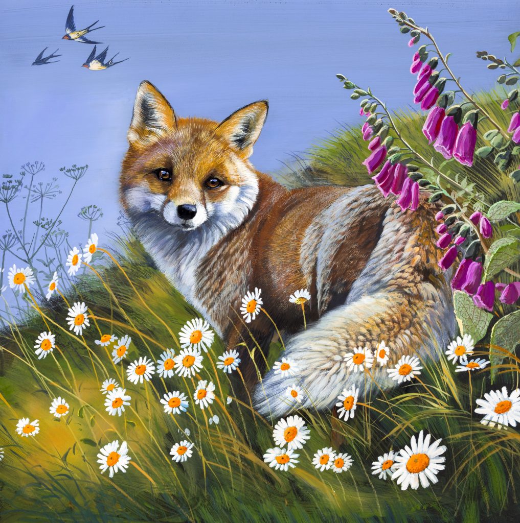 Summer - Image 2