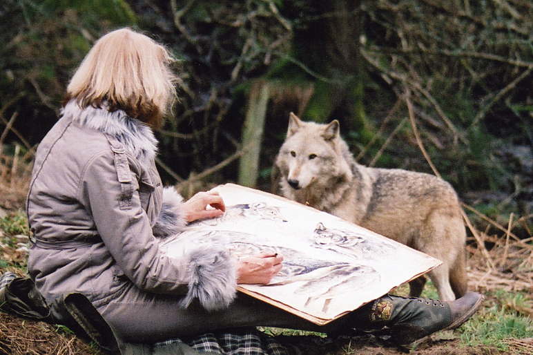 transylvania