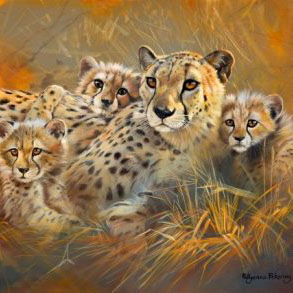 Cheetah