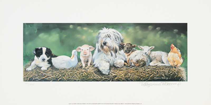 Down on the Farm - Image 2