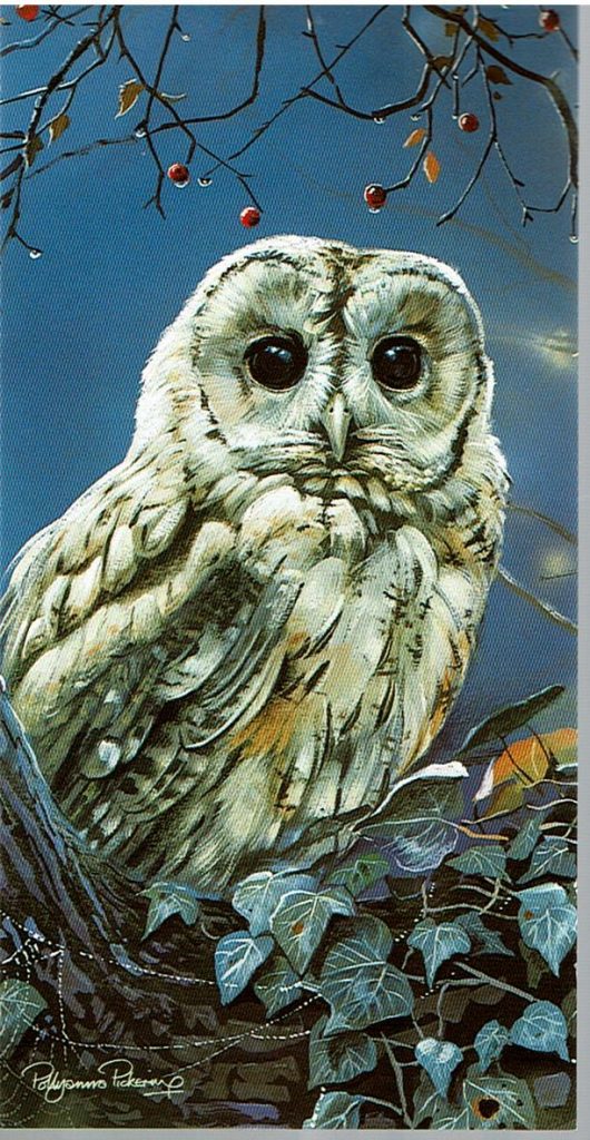 Countryside Card Selection - Image 4
