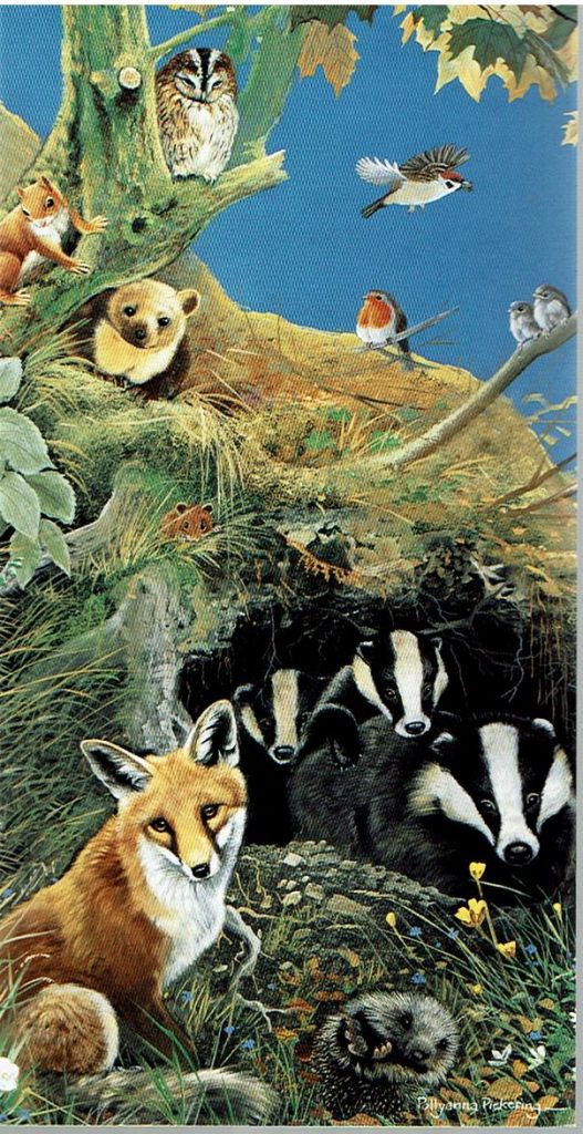 Countryside Card Selection - Image 5