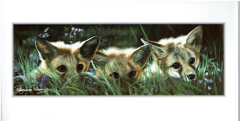 Countryside Card Selection - Image 8