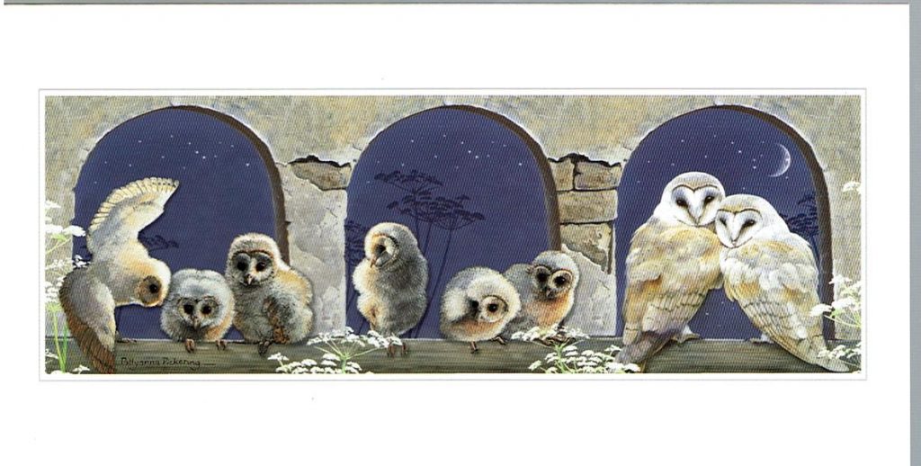Countryside Card Selection - Image 9