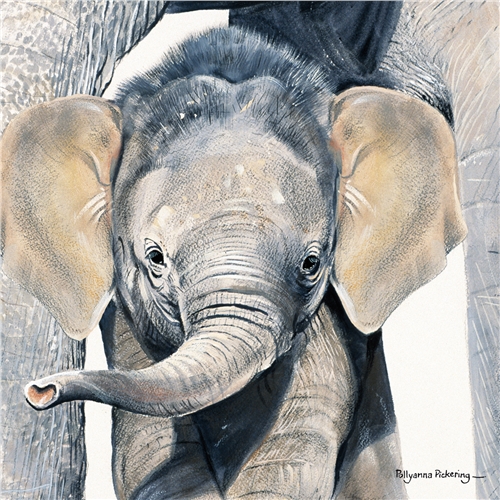 Pollyanna Pickering Foundation Cards (Selection A) - Image 5