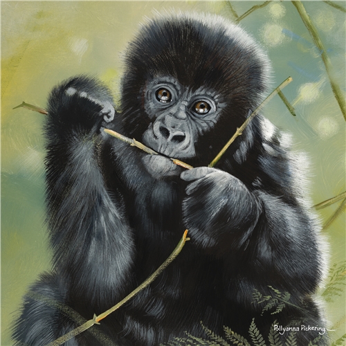 Pollyanna Pickering Foundation Cards (Selection A) - Image 4