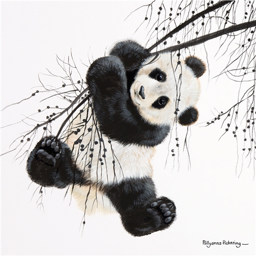Pollyanna Pickering Foundation Cards (Selection B) - Image 3