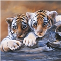 Pollyanna Pickering Foundation Cards (Selection A) - Image 7