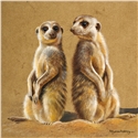 Pollyanna Pickering Foundation Cards (Selection B) - Image 4