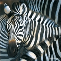 Pollyanna Pickering Foundation Cards (Selection A) - Image 3