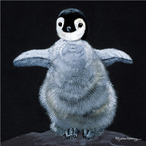 Pollyanna Pickering Foundation Cards (Selection B) - Image 6