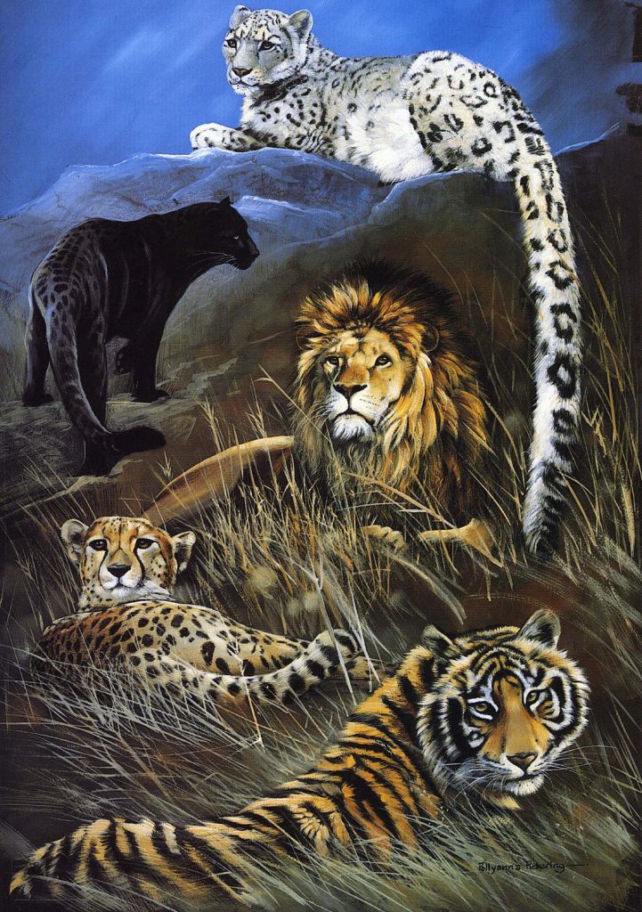 Sanctuary Card Collection - Image 9