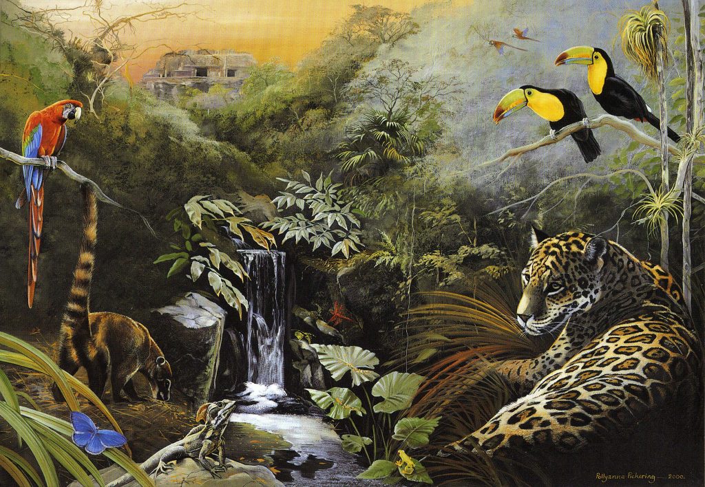 Sanctuary Card Collection - Image 6