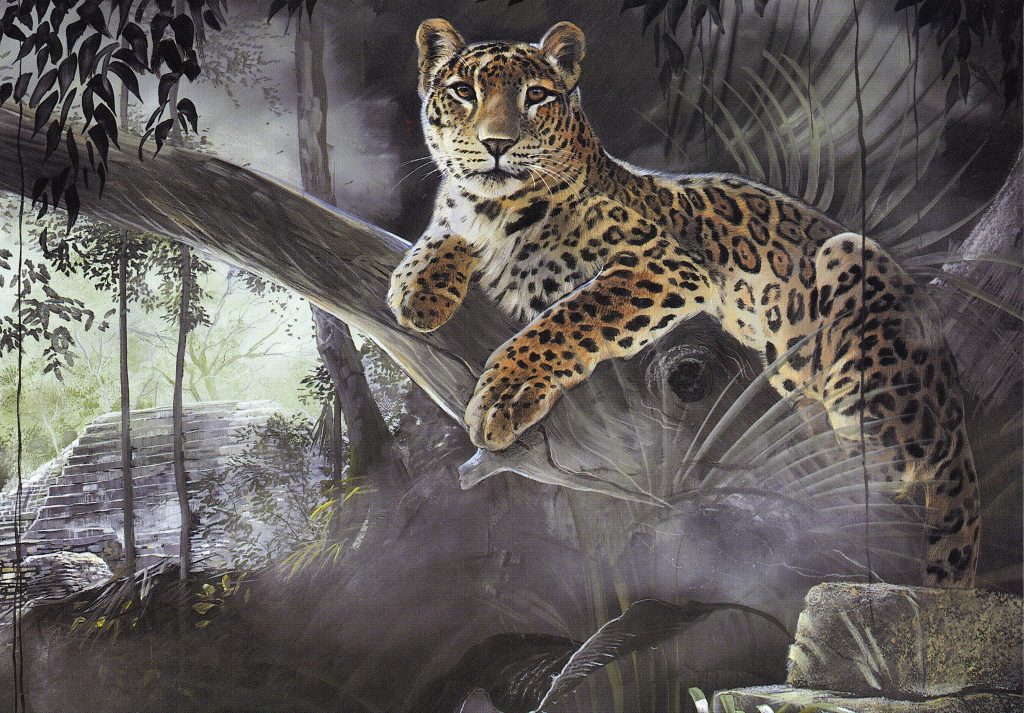 Sanctuary Card Collection - Image 8