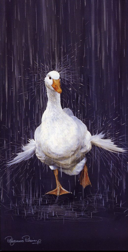 Countryside Card Selection - Image 3