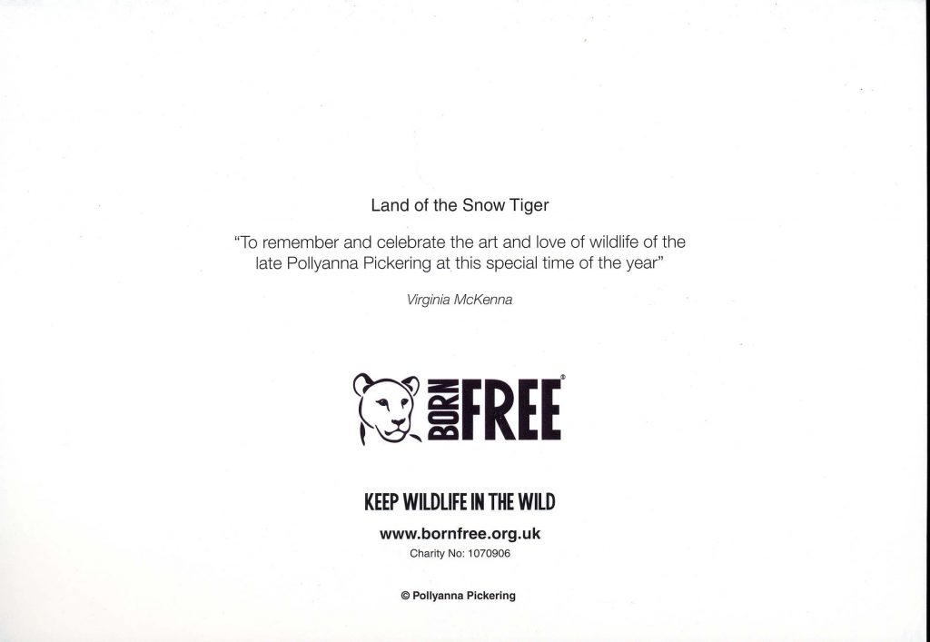 Christmas Cards : Snow Tiger - Image 2