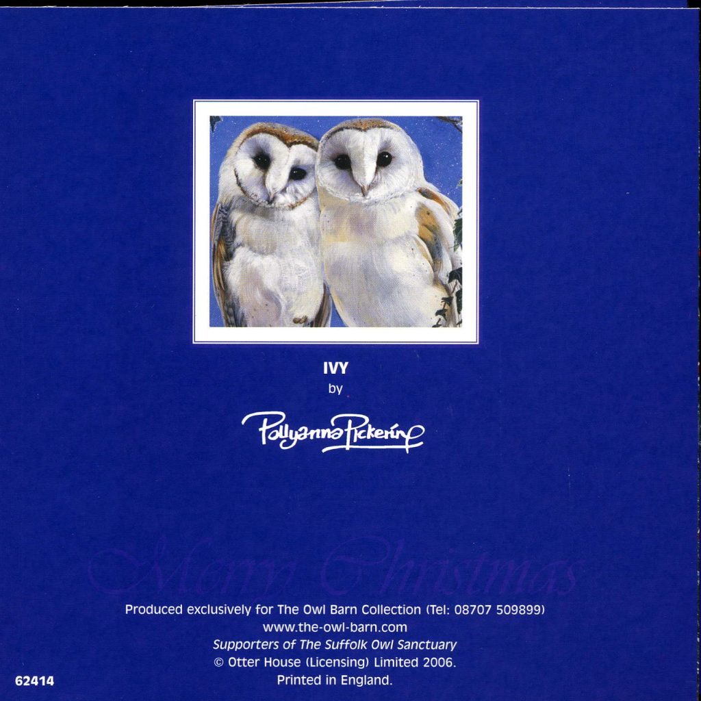 Christmas Cards : Barn Owls Ivy - Image 2