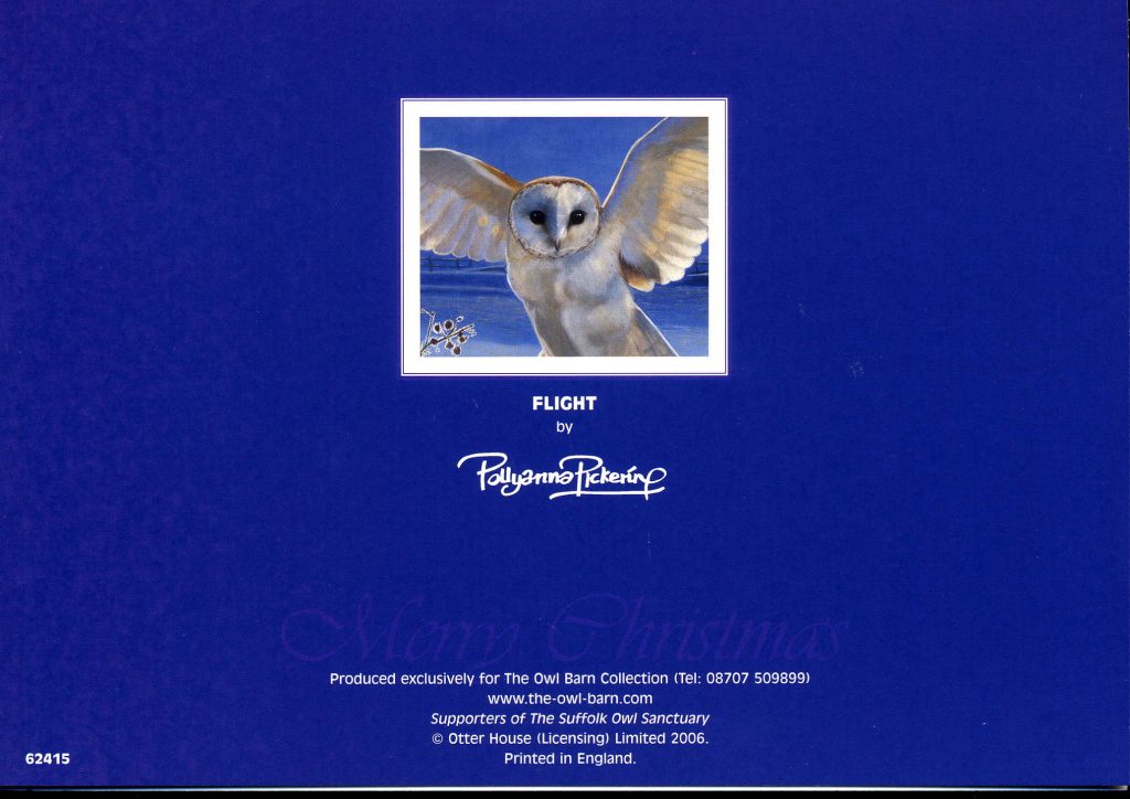 Christmas cards : Barn Owl Flight - Image 2