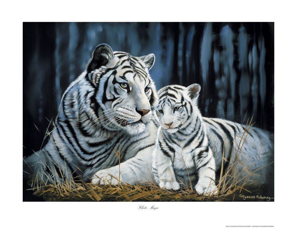 White Magic - Image 2