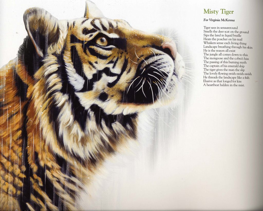 Wildness - Image 2