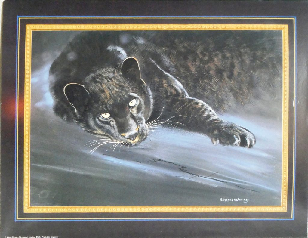 Craft Store Offer : Set of Two Big Cat Prints - Image 3
