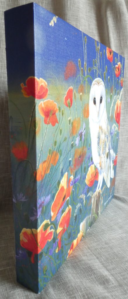 Barn Owl Canvas - Image 2